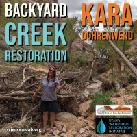 Backyard Creek Restoration