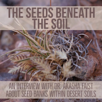 The seeds beneath the soil