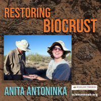 Restoring Biocrust