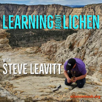 Learning about Lichen