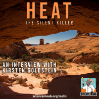 Heat: The Silent Killer