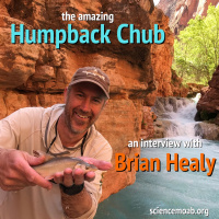 The Amazing Humpback Chub