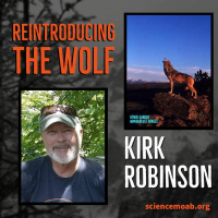 Reintroducing the Wolf
