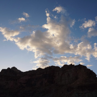 Thinking about landscapes at a large scale: new thoughts on species conservation