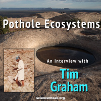Pothole Ecosystems