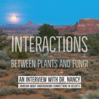 Interactions between plants and fungi