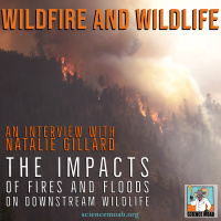Wildfire and Wildlife