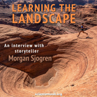 Learning the Landscape