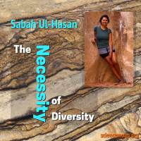 Does Diversity Matter?