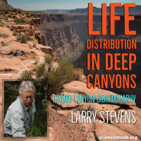 Life Distribution in Deep Canyons