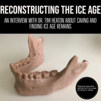 Reconstructing the Ice Age