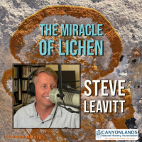 The Miracle of Lichen