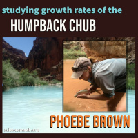 Studying Growth Rates of the Humpback Chub
