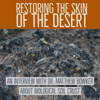 Restoring the skin of the desert