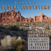 Dynamic Desert Ecosystems