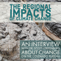 The regional impacts of climate change