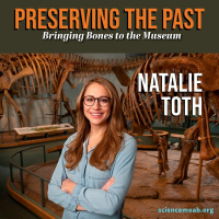Preserving the Past
