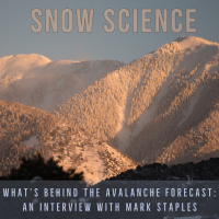 Snow Science and the Avalanche Forecast