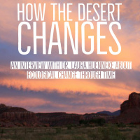 How the desert changes