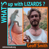 Whats up with Lizards?