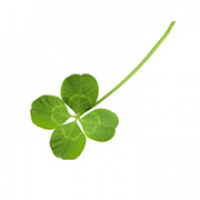 Supersticiones - Zapp Ingles Listening 3.16