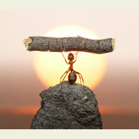 Trabajos y Empleo - Zapp Ingles Listening 2.1 (NIVEL 2)