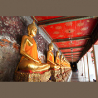 Cultura - Zapp Ingles Listening 3.5