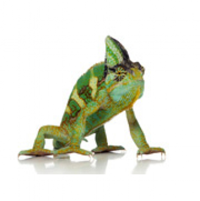 Zapp! Inglés Listening By Inglés.fm