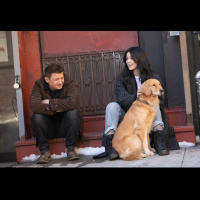 The BizzleCasts HAWKEYE Commentaries: Season 1, Ep. 4 “Partners, Am I Right??”