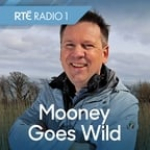 Rté - Mooney Goes Wild