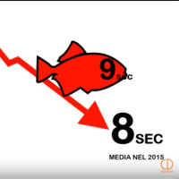 2 motivi per cui ti scartano per un lavoro (2° parte)