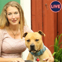 Inför Motionera din hund lycklig med Irene Westerholm