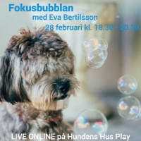 Inför Fokusbubblan med Eva Bertilsson