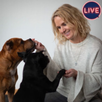 Inför Hundens Friskvård med hundmassör Anna Stenfeldt