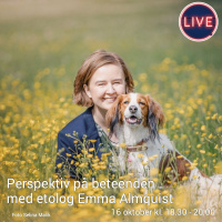Inför Perspektiv på beteenden med Emma Almquist 16 oktober