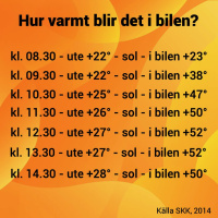 Sommar, sol och hundliv