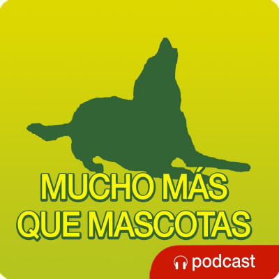 Mucho Más Que Mascotas