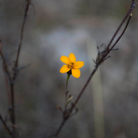 Spiritual Healing After Abortion