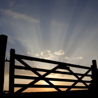 Caring for Postpartum Depression