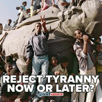 DAVE PELLOWE - Dont Complain About Tyranny Until Youre Oppressed Like Ethiopia Or Sudan