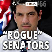 MANDATES Sen Alex Antic On Pellowe Talk