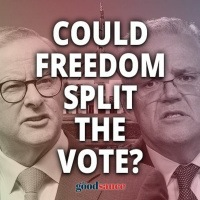 PELLOWE TALK | Splitting the Vote - Australian Federal Election 2022