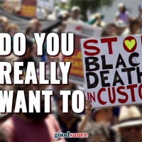 Do You Really Want To Stop Black Deaths In Custody?