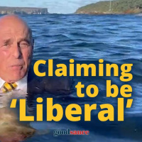 ALEXANDRA MARSHALL - TNL (The New Liberals) Are Ultra Left