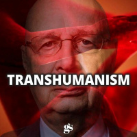 The WEF Transhumanism Agenda | Pellowe Talk