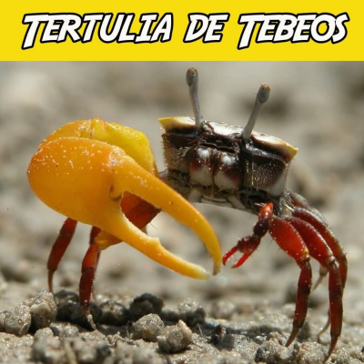 Tertulia De Tebeos -tdt-