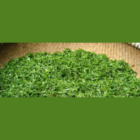 KP21: Abfahren und Tee trinken