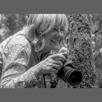 066 - Kim Steutermann Rogers - Journalist, Photographer and Citizen Scientist