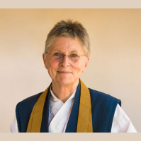 051 - Roshi Joan Halifax - Buddhist Teacher and Author on socially engaged Buddhism and living a virtuous life without burning out
