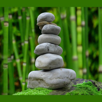 044 - Health, Nutrition, Toxins, Supplements and Lab Results